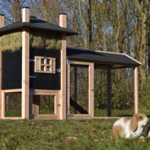 The rabbit hutch Rosa is an acquisition for your garden