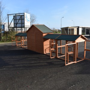 The large combination Holiday Large offers a lot of space for your chickens