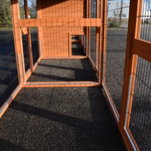 Have a look in the run of rabbit hutch Holiday Large