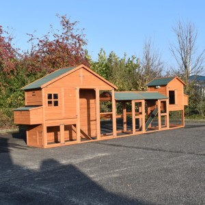 Chickencoop Holiday Large with 2 runs and Prestige Large 589x101x195cm