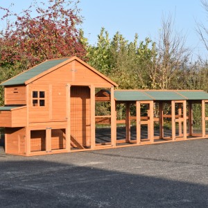 Chickencoop Holiday Large with 3 runs and laying nest 640x100x195cm