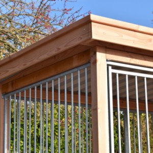 The dog kennel is provided with details of Douglaswood