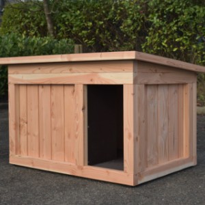 Dog house Block is an acquisition for your yard