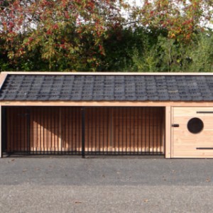 The dog kennel Rex 2XL is made of Douglaswood