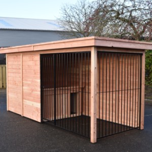 The beautiful kennel is provided with black kennelpanels