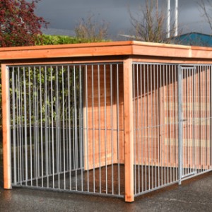 The dog kennel is provided with galvanized bar panels
