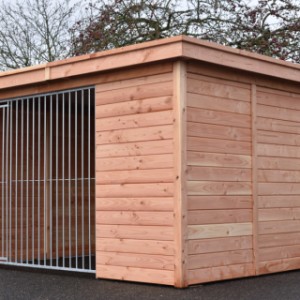 The dog kennel Modul FORZ is made of Douglaswood