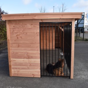 Have a look on the left side of the dog kennel