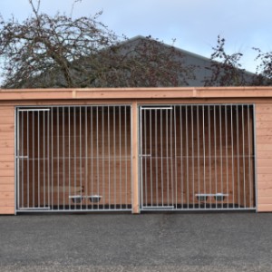 The kennel is provided with galvanized bar panels
