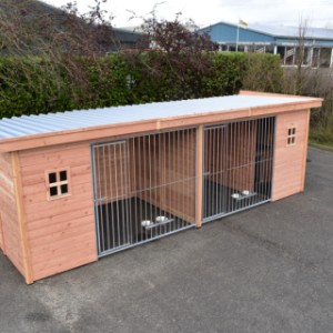 The large dog kennel offers place for 2 dogs