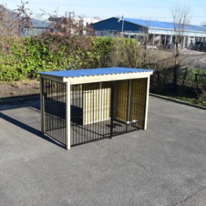 The dog kennel is an acquisition for your yard