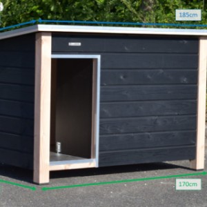 Various dimensions of the dog house Loebas
