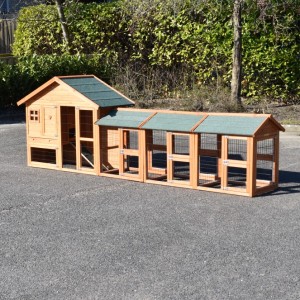 The chickencoop Holiday Small is an acquisition for your yard