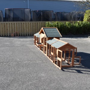 The hutch Holiday Small offers a lot of place for your chickens