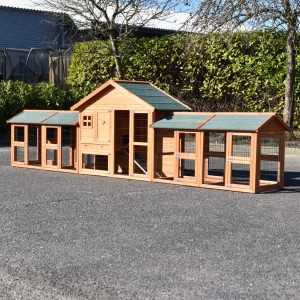 The hutch Holiday Small is suitable for 2 medium or 4 small sized chickens