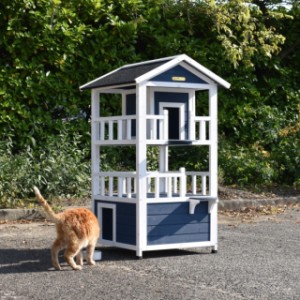 Cat house Kitty 72x72x127cm