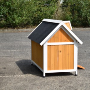 Have a look on the left side of chickencoop Cozy