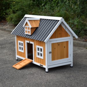 The chickencoop Cozy is suitable for 4 till 8 chickens