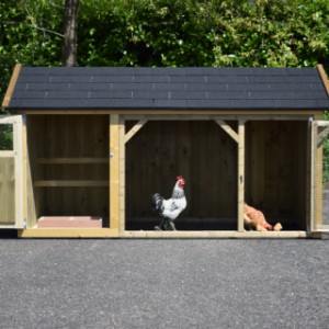 The chickencoop Belle is provided with 2 large doors