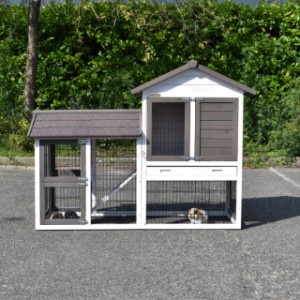 The guinea pig hutch Prestige Small is extended with a run Space Small