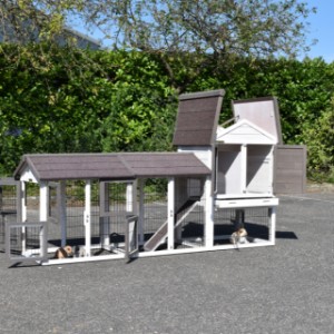 The rabbit hutch Prestige Small is provided with many doors