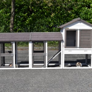 The rabbit hutch Prestige Small offers place for 2 rabbits
