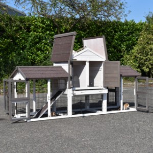 The rabbit hutch Prestige Small has many doors