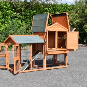 Chickencoop Prestige Small has many doors and hinged roofs