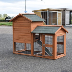 The chickencoop Prestige Small is made of pine wood