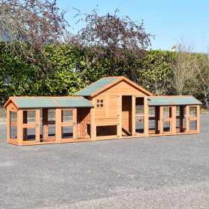 Chickencoop Holiday Small with 4 runs 450x73x128cm