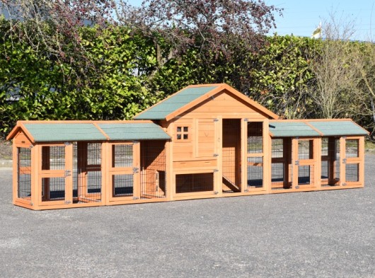 Chickencoop Holiday Small with 4 runs 450x73x128cm