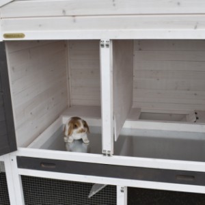 The rabbit hutch Annemieke Extra Large is provided with a large sleeping compartment