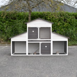 The rabbit hutch Annemieke Extra Large will be delivered in the shown colours