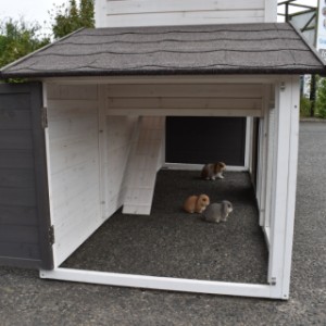 The rabbit hutch Annemieke Extra Large offers a lot of space for your rabbits