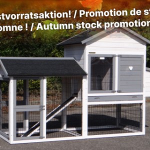 Autumn stock promotion!