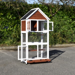 The aviary Ninthe is provided with 3 doors