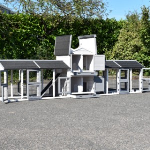 The rabbit hutch Double Small has many doors