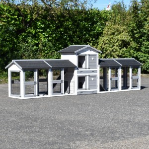 Chickencoop Double Small with 4 runs 388x72x121cm