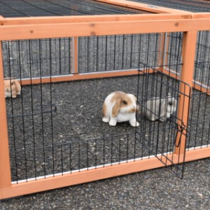Rabbit run Multirun is equipped with 3 mesh doors
