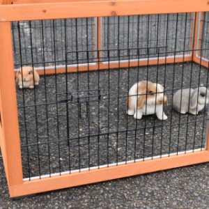 The Multirun rabbit run is made of pine wood