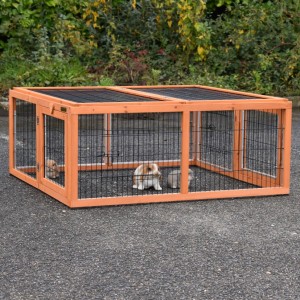 Rabbit run Multirun · chewprotection · 116x109x49cm