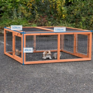 Various dimensions of the rabbit run Multirun