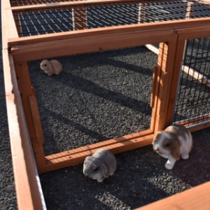 The Multirun can be connected to another Multirun.