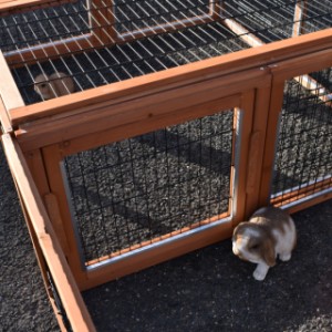 The Multirun can be connected to another Multirun.