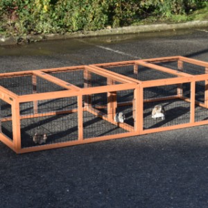 The Multirun rabbit run can be expanded with multiple runs