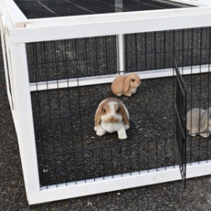 The Multirun is equipped with 3 small mesh doors