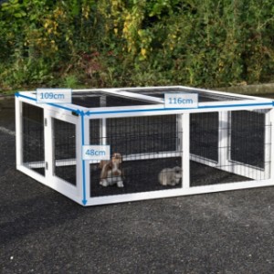 Different sizes of the Multirun rabbit run