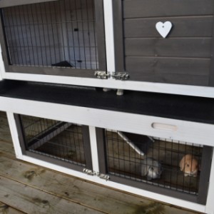 Because of the plastic tray can the rabbit hutch Regular Medium be cleaned very easily