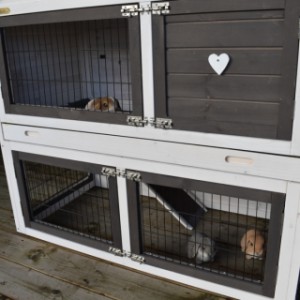 The winterproof rabbit hutch has two levels connected by a ramp