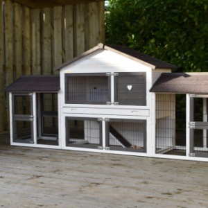 Hutch Regular Medium is suitable for 2 till 3 rabbits